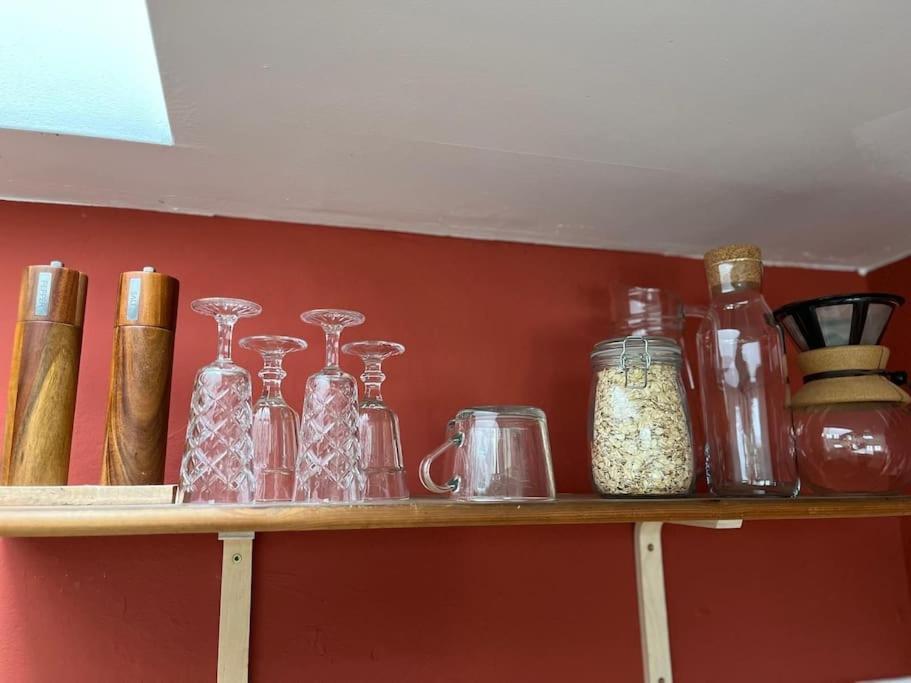 Apartment "Nachtweide" In Magdeburg Zewnętrze zdjęcie