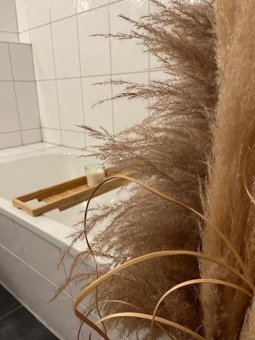 Apartment "Nachtweide" In Magdeburg Zewnętrze zdjęcie