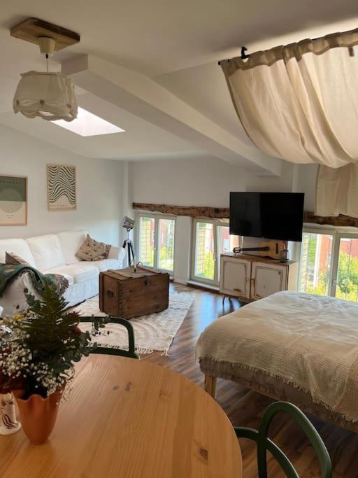 Apartment "Nachtweide" In Magdeburg Zewnętrze zdjęcie